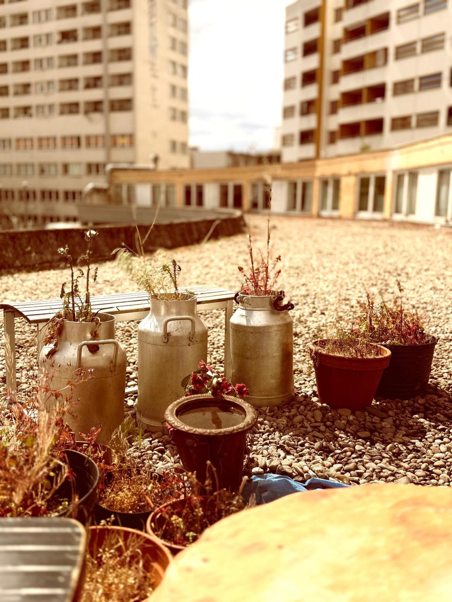 Comebackpackers Berlino Esterno foto